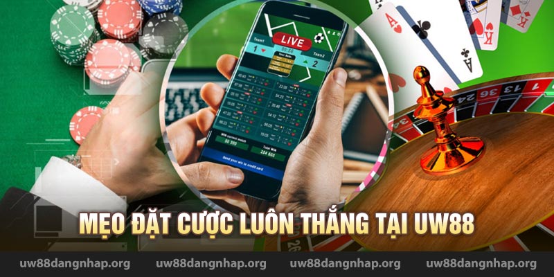 uw88 đặt cược